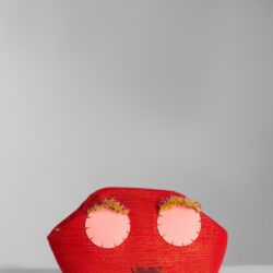 Lima Micro Clutch Bag - Red