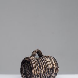 Julia Fold Micro Bag